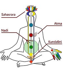 Kundalini Chakras