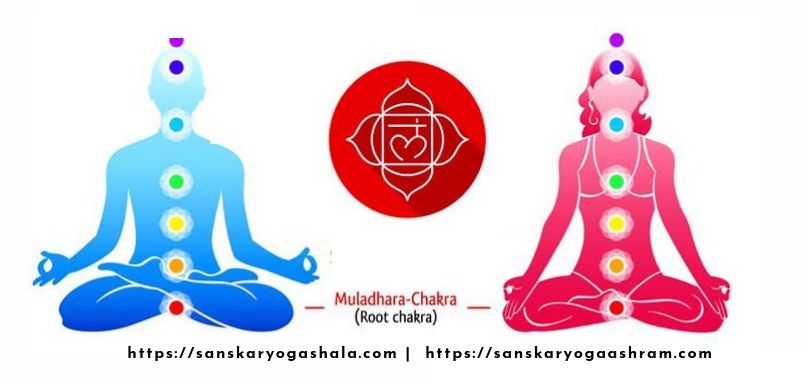 Muladhara Chakra: the base of all existence