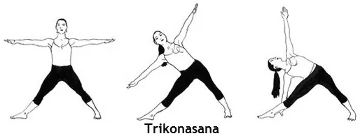 Trikonasana(The Triangle Pose)