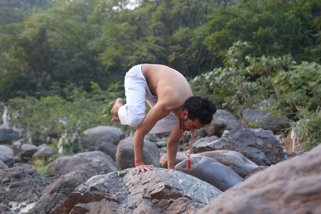 Hatha and Ashtanga Yoga Teacher Training Course